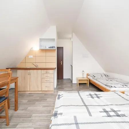 Klinovec - Jonas Loučná pod Klínovcem