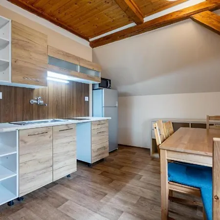 Apart-hotel Klinovec - Jonas