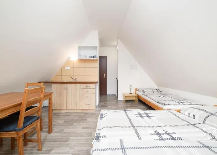 Klinovec - Jonas Loučná pod Klínovcem