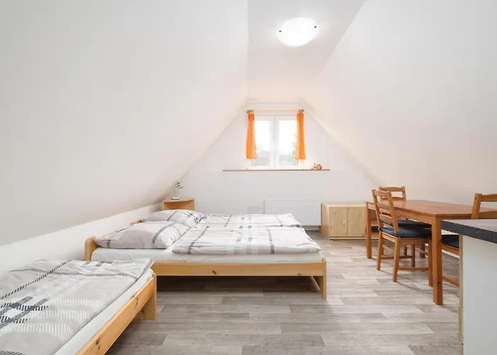 Klinovec - Jonas 3* Loučná pod Klínovcem